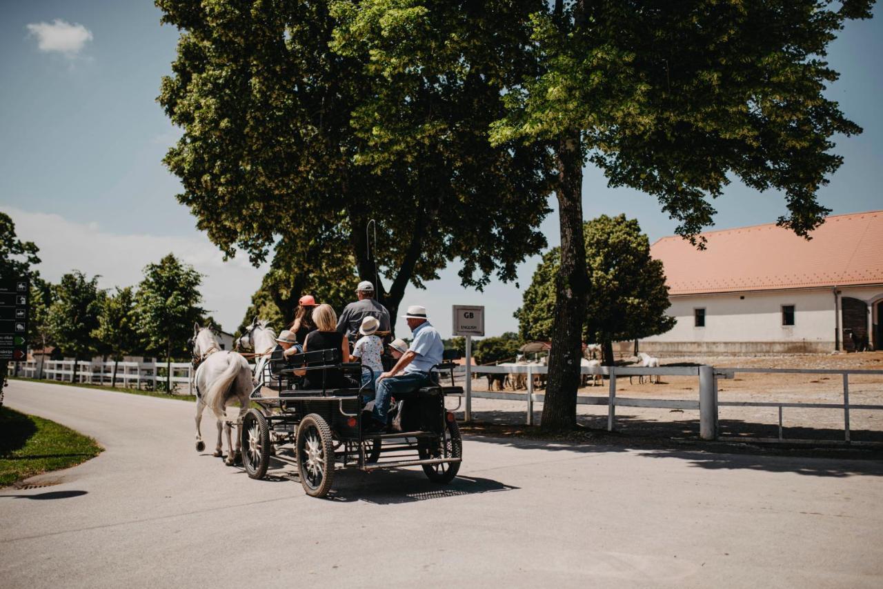 Hotel Maestoso - Lipica Sezana ภายนอก รูปภาพ